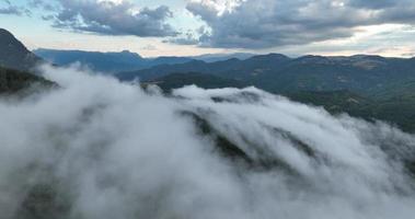 vol de drone au-dessus de la forêt de montagne couverte d'un épais brouillard en été. vidéo aérienne cinématographique de la nature en résolution 4k video