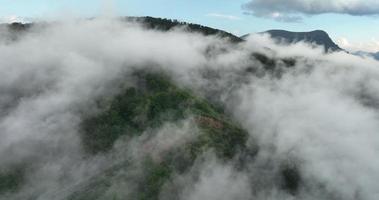 Drone flight over the mountain forest covered with thick fog in summer. Cinematic aerial video of nature in 4K resolution