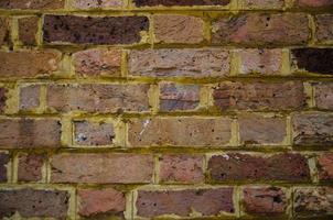 Red Grunge old big brick wall. photo