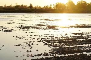 evening sunset Land preparation for rice planting in Thailand photo