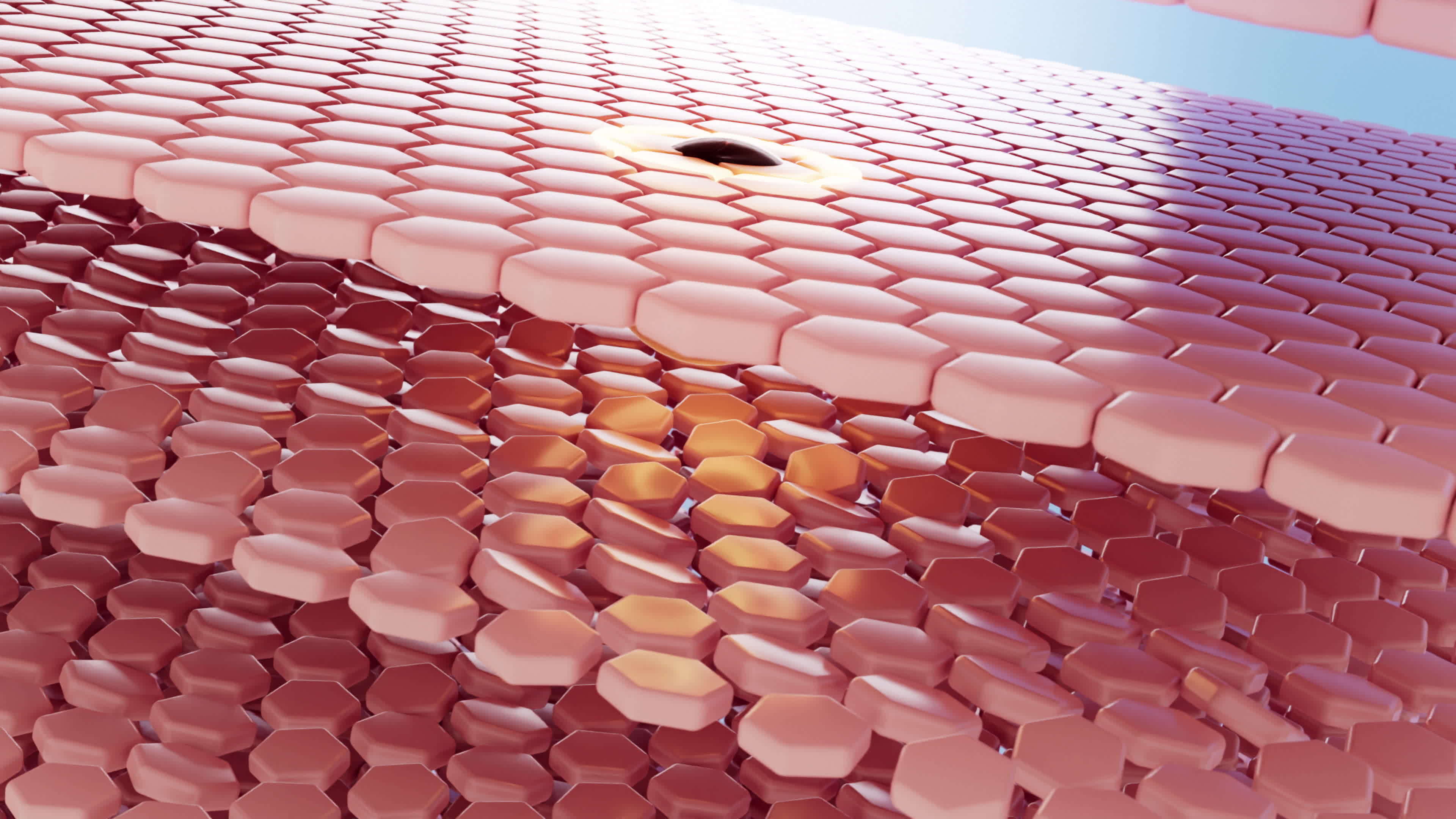 3D rendering animation, close up Drops of oil absorbed into the layers