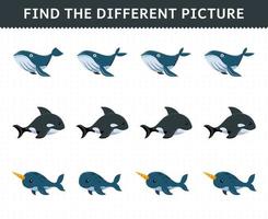 Education game for children find the different picture in each row of cute cartoon whale orca narwhal printable underwater worksheet vector