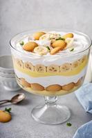 Banana pudding trifle in a large digh photo