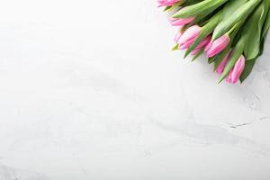 Pink tulips with copy space photo