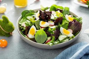 Fresh green salad with boiled eggs for Easter brunch photo