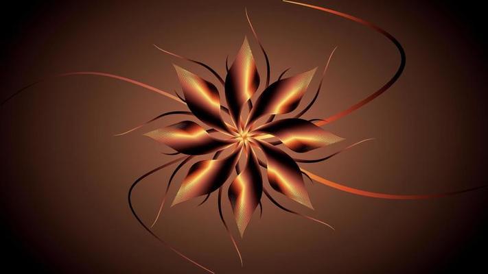 Fire light flower geometric background
