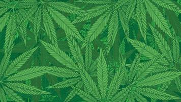 Green cannabis leaves pattern background vector