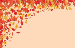 Colorful Autumn fall leaves floral background illustration with maple leaf vector