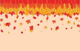 Colorful Autumn fall leaves floral background illustration with maple leaf vector