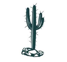 conjunto de cactus ilustraciones dibujadas a mano, vector