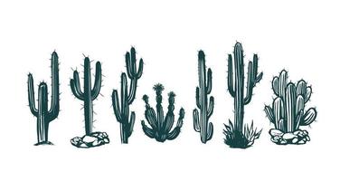 Cactus set hand drawn illustrations, vector