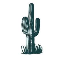 Cactus set hand drawn illustrations, vector