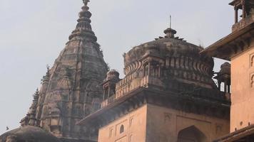 vista mattutina dei cenotafi reali chhatris di orchha, madhya pradesh, india, orchha la città perduta dell'india, siti archeologici indiani video