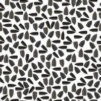 Sunflower seeds seamless pattern, seeds with dark peel on a white background vector