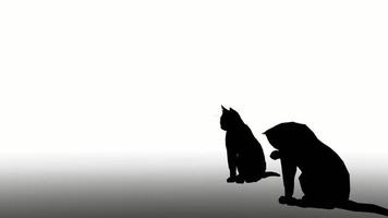 silhouette of cat on white background. silhouette black cats with white screen. design for animation, animal, isolate, silhouette body.