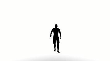 les gens de la silhouette marchent sur fond blanc. les noirs de silhouette marchant communiquent sur un écran blanc. conception pour l'animation, personnes debout, isoler, parler, personne, humain, corps silhouette. video