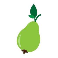 guava icon illustration vector