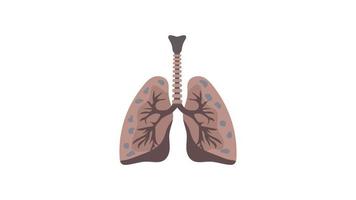 pulmones icono animado plano aislado sobre fondo transparente. animación gráfica de movimiento de video hd