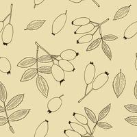 rosehip berries and leaves seamless pattern hand drawn in doodle style. Suitable for wallpaper, textile, wrapping paper, background. sketch, monochrome, minimalism, scandinavian vector