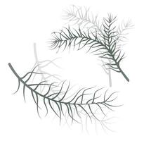 a twig of a green plant. leaves and needles vector