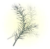 a twig of a green plant. leaves and needles vector