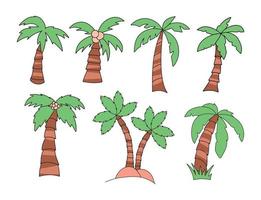 Vector graphics of different palm coconuts tree set on white background