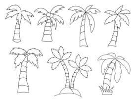 Vector graphics set of different palm tree silhouette black line contour