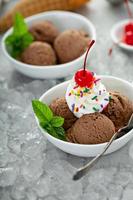 Chocolate ice cream sundae in a bowl photo