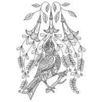 Bird and beautiful flowers hand drawn for adult coloring book vector