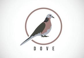 Dove bird in a circle. Dove bird logo design template vector illustration