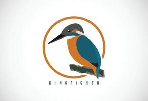 Kingfisher bird in a circle. Kingfisher bird logo design template vector illustration