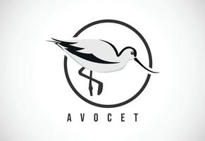 pájaro avoceta en un círculo. Ilustración de vector de plantilla de diseño de logotipo de pájaro avoceta