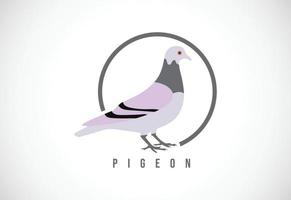 Pigeon in a circle. Pigeon logo design template vector illustration