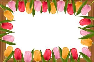 Multicolored tulips over a wooden frame. Frame with copy space. Concept of mother's day, valentine's day, women's day. Vector image