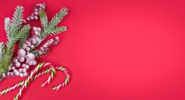 Christmas tree and  candy cane on red background. photo