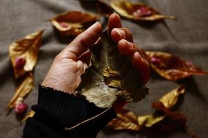 Woman Holding Dried Leaves In Hand In Karachi Pakistan 2022 photo