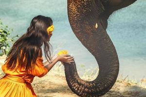 Woman in beautiful orange dress and elephant photo