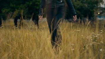 girl in black walks through a field of wheat autumn video