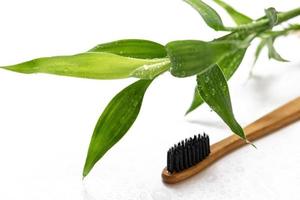 Eco friendly toothbrush and bamboo plant on white photo