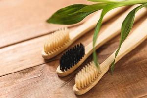 Closeup of bamboo plant and eco friendly toothbrushes photo