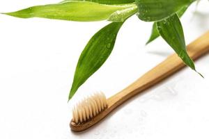 Eco friendly toothbrush and bamboo plant on white photo