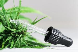 planta de cannabis y botella con aceite de cbd foto