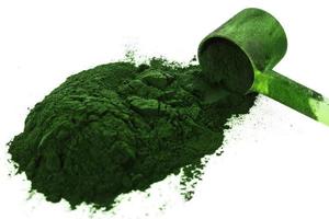 proteína vegetariana verde o polvo de espirulina en blanco foto