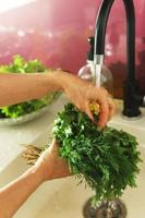 Female hands washing dill and parsley in the tap water photo