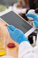 Scientist's hands in the latex gloves with a tablet pc photo