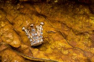 Model crown placed on a dry leaf photo