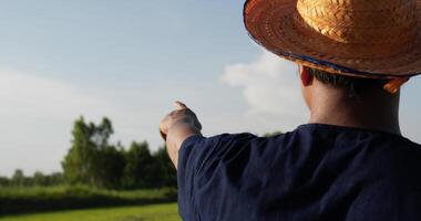 vista posterior y primer plano de un agricultor asiático hablando por teléfono inteligente en un campo de arroz, y señalando con malestar video