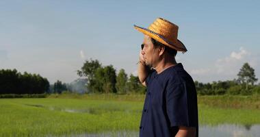 agricultor asiático falando em smartphone no campo de arroz e olhando em volta com a sensação de chateado video