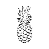 Continuous one line drawing pineapple. Vector illustration. Black line art on white background. Cartoon pineapple isolated on white background.  Vegan concept