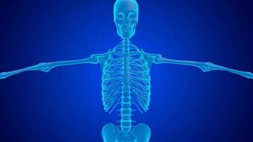 blue hologram shoulder joint pain caused by cartilage wear and tear video